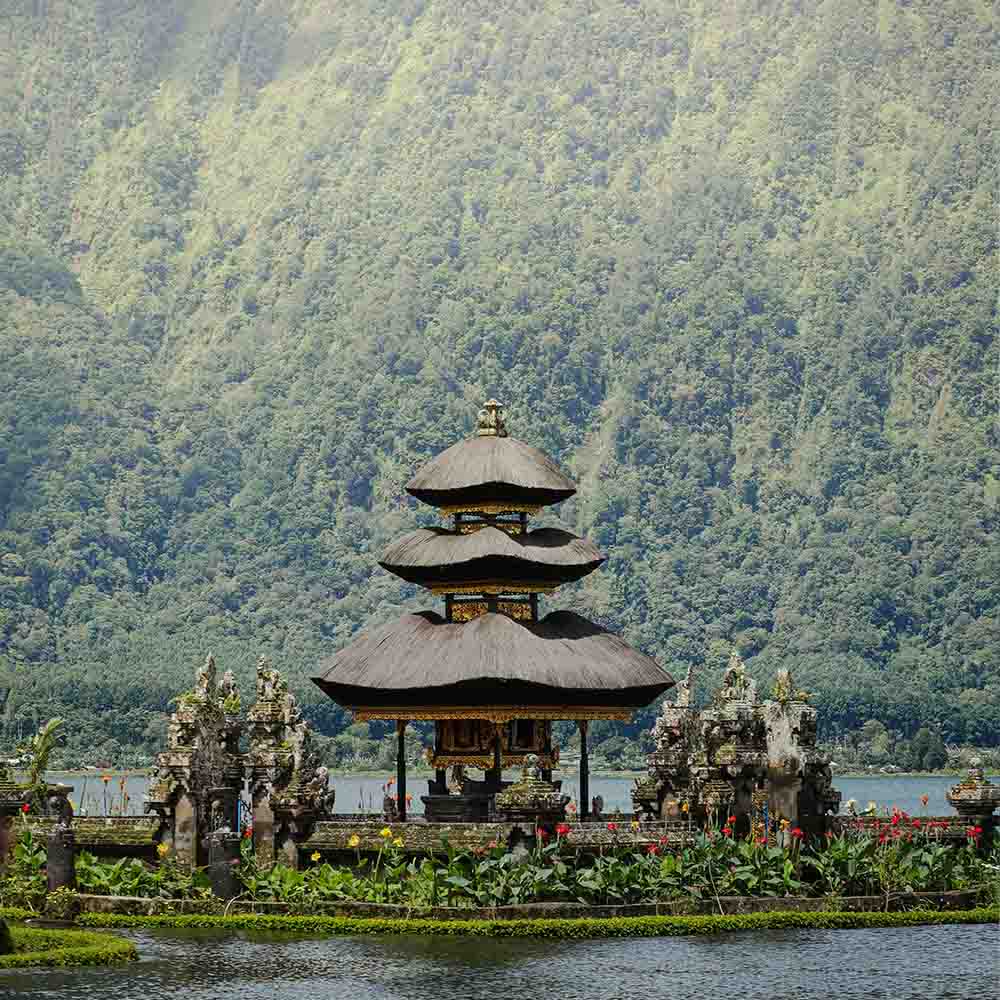 Bedugul