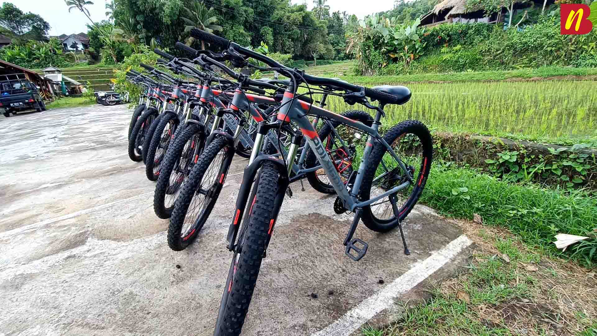 Cycling Bali