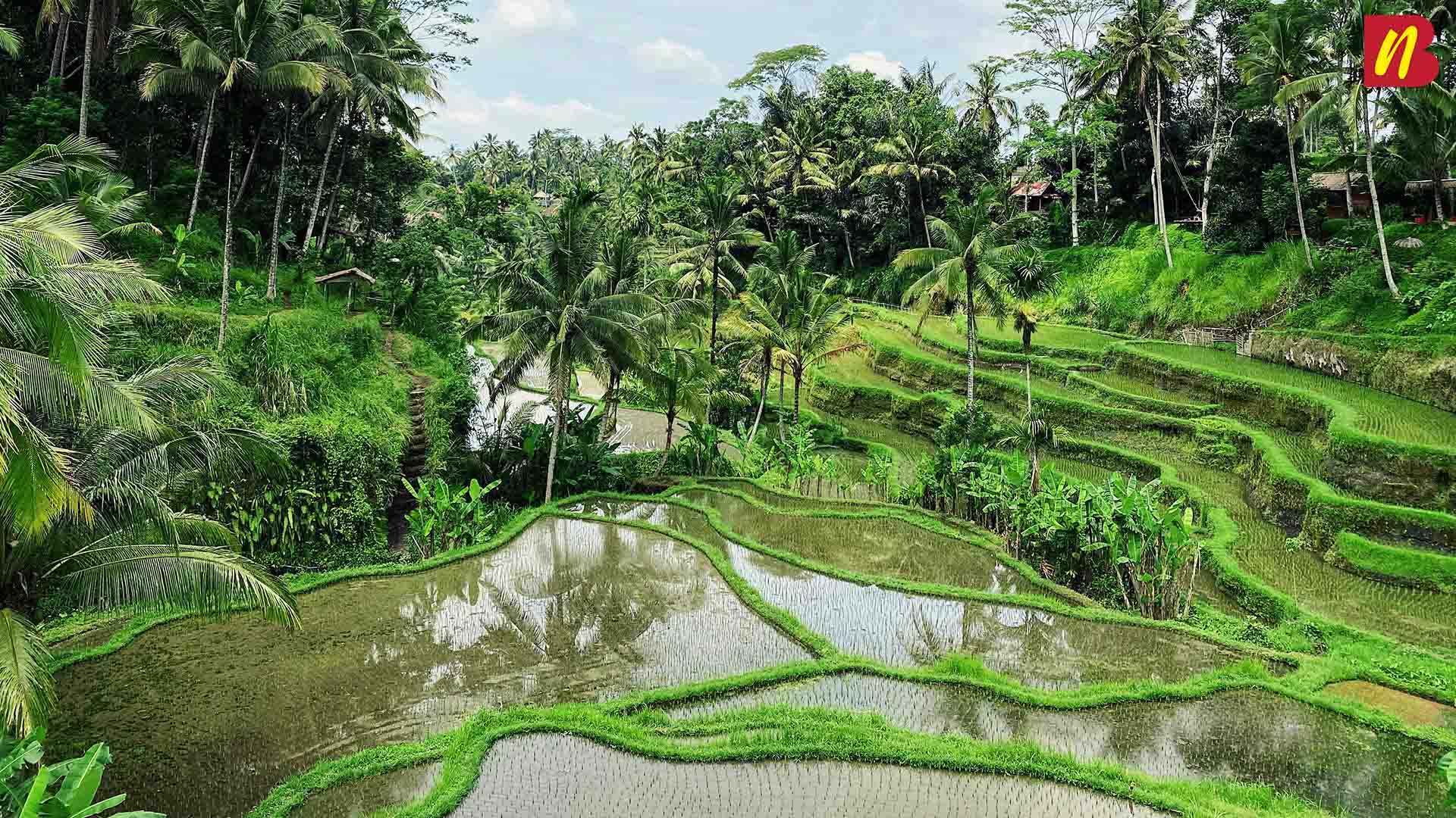 Ubud Bali