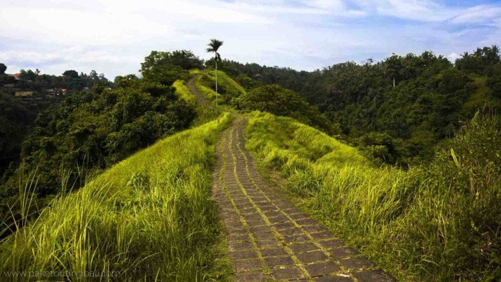 walk.jpg Lari di Campuhan Ridge Walk Ubud dengan lembah hijau