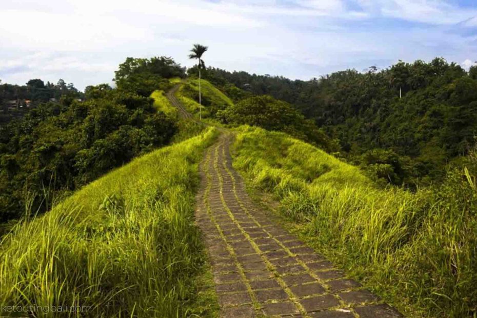 walk.jpg Lari di Campuhan Ridge Walk Ubud dengan lembah hijau