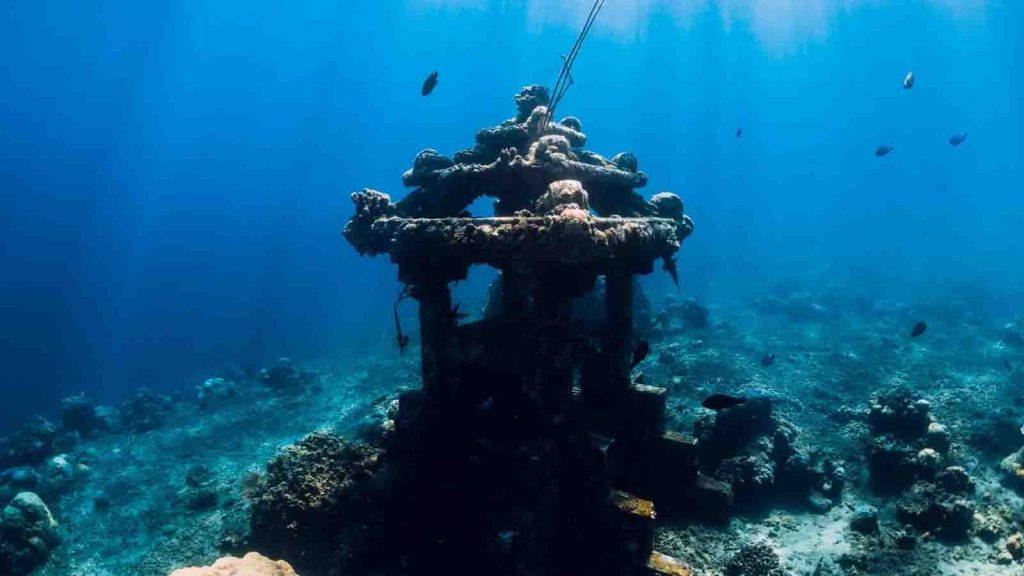 aktivitas seru di bali 2026 freediving amed laut jernih dan biota bawah laut