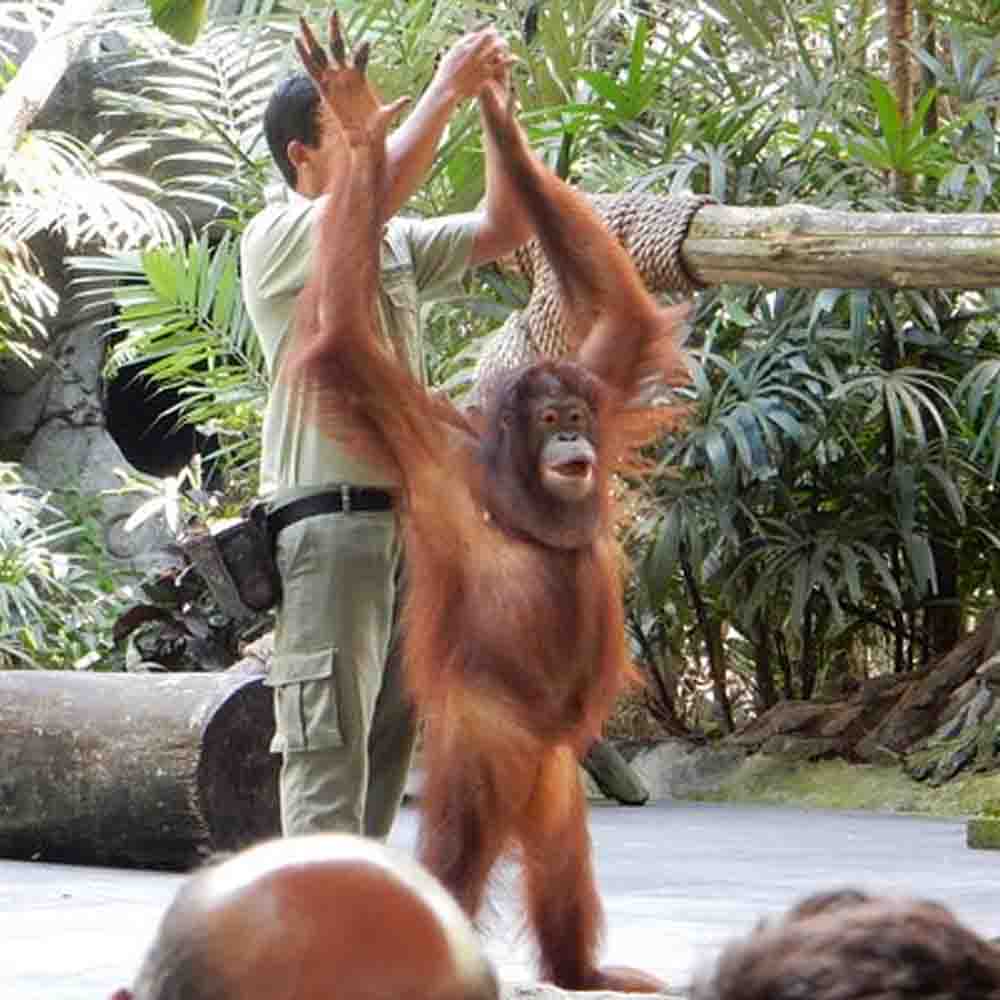 Bali Safari Gianyar destinasi keluarga dalam rekomendasi wisata Bali 2026