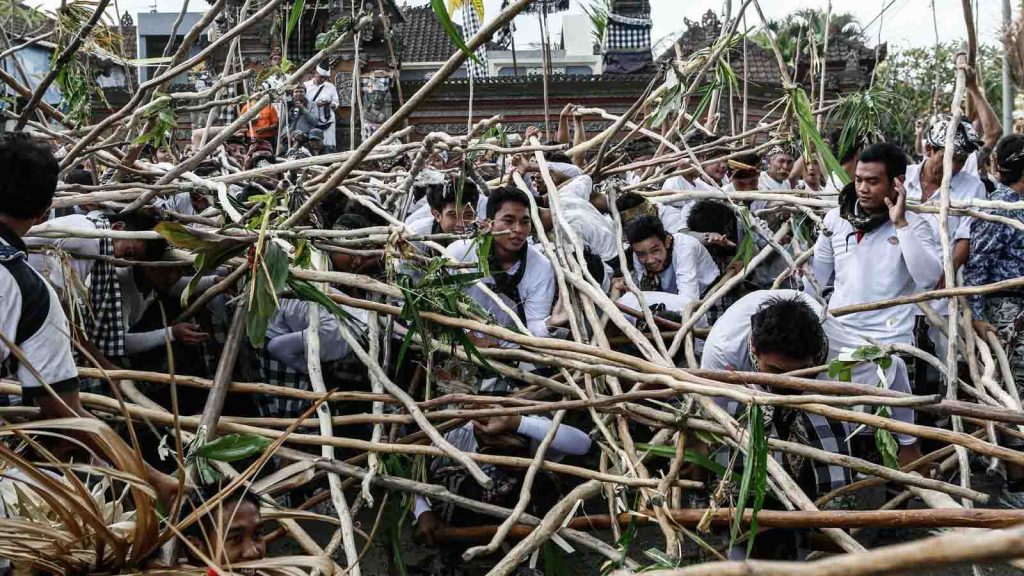 budaya bali unik 2026 tradisi mekotek munggu ritual perang kayu penolak bala