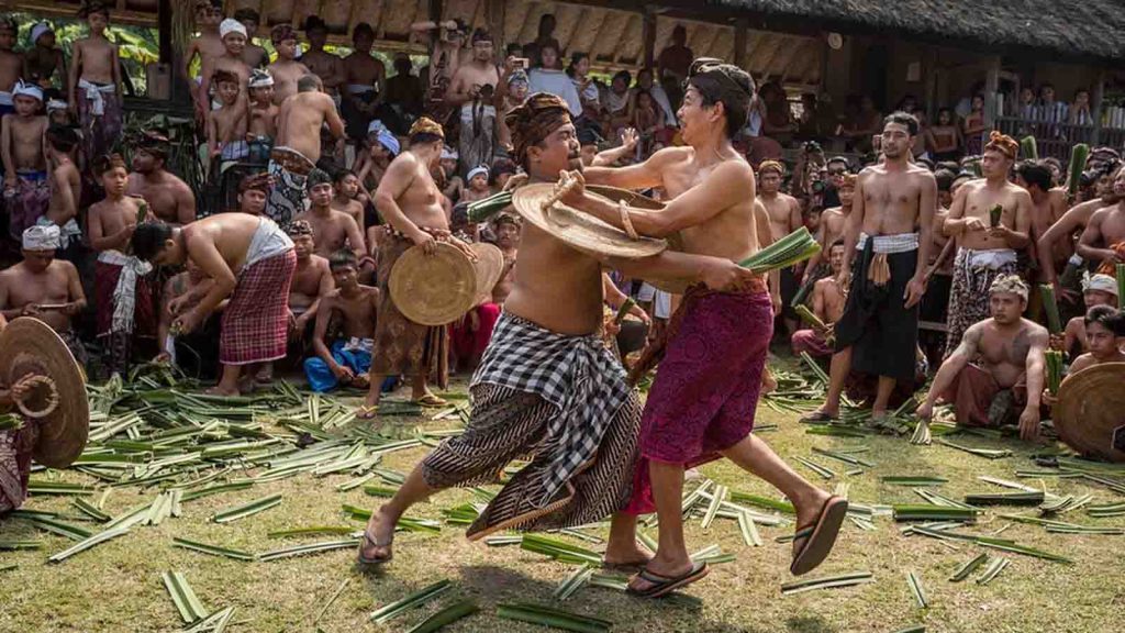 budaya bali unik 2026 perang pandan tenganan ritual sakral desa adat bali