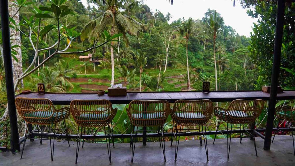 Yellow Flower Cafe Ubud sebagai kuliner Bali viral 2026 dengan view sawah