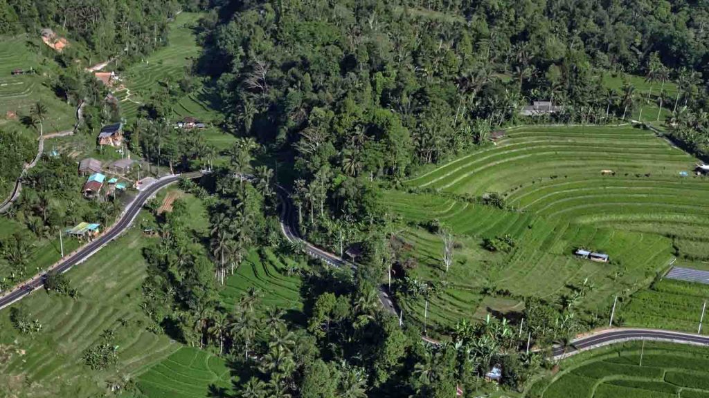 kuliner viral bali 2026 coffee shop ubud dengan view sawah