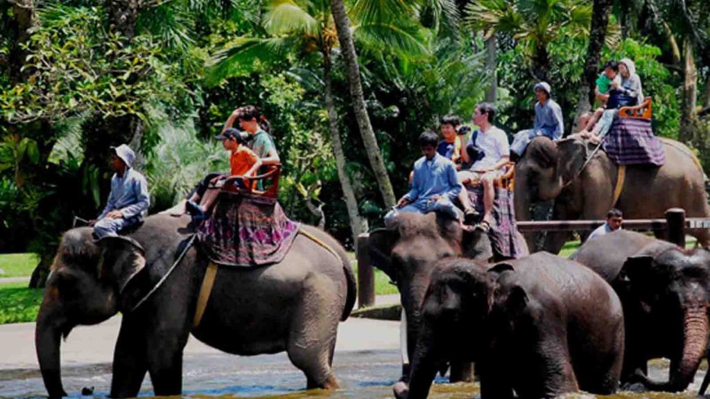 venue outing Bali Mason Elephant Park Ubud untuk outdoor corporate gathering