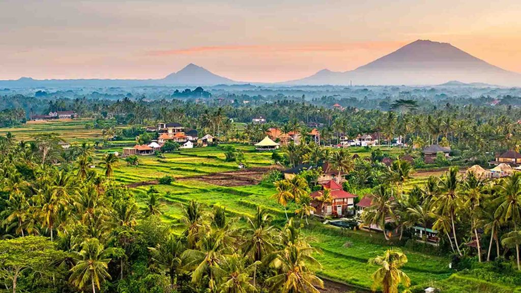 Amazing Race Murah di Ubud